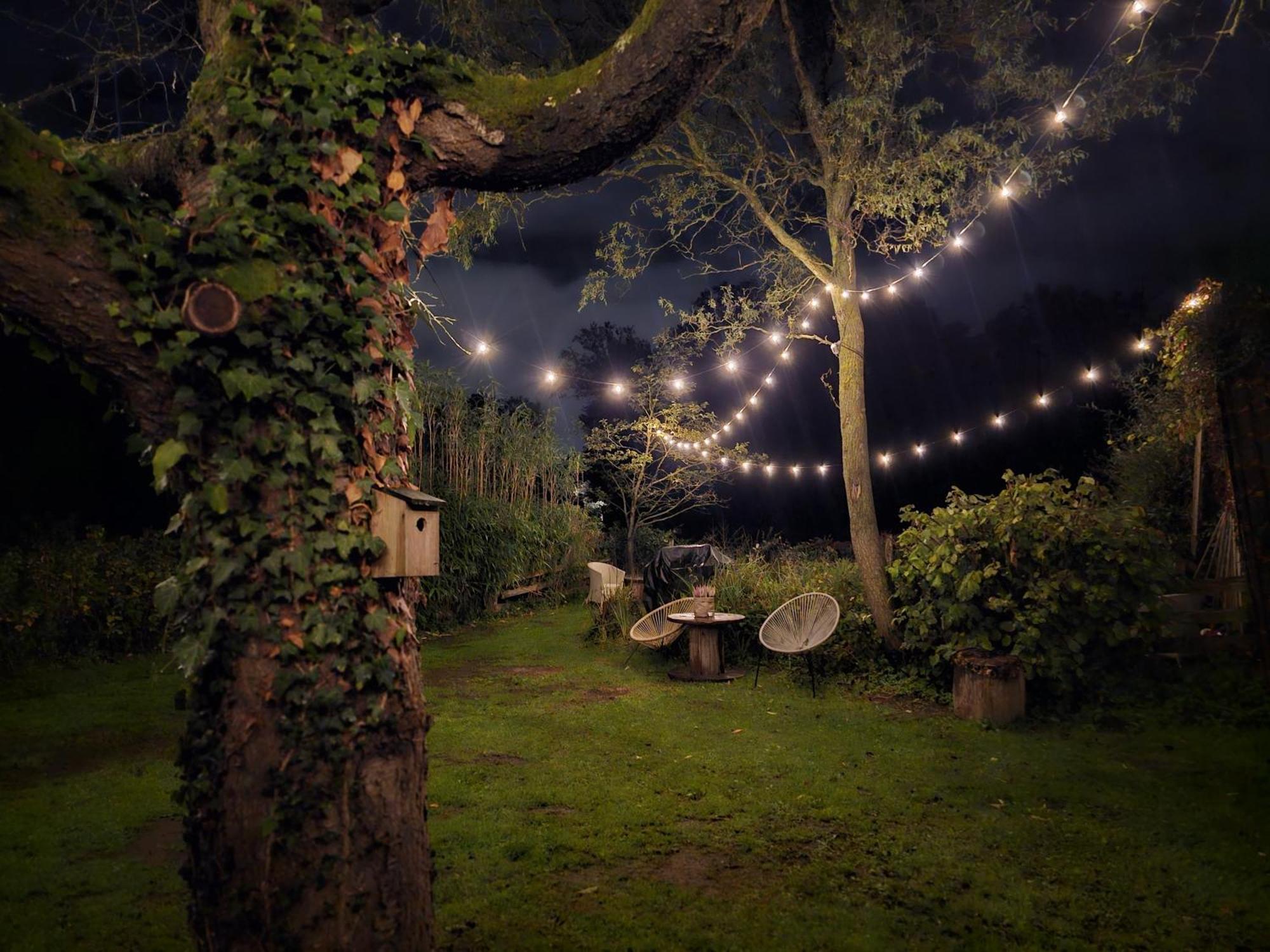 ホテル Weberhof-Muenster Glamping エクステリア 写真